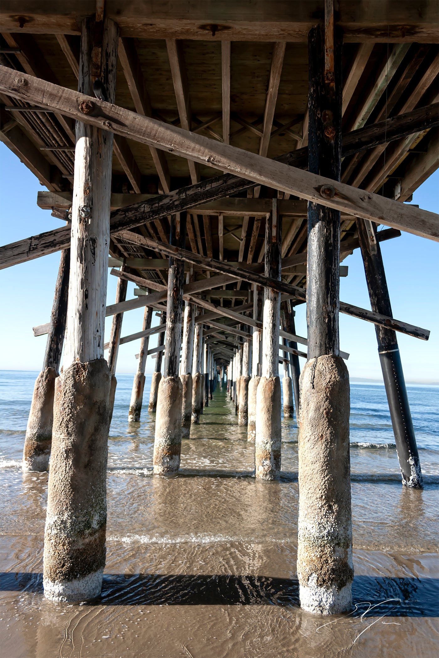 PIER (2009)