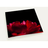 REACH | Greeting Cards