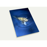 RISE TO THE TOP | Postcards