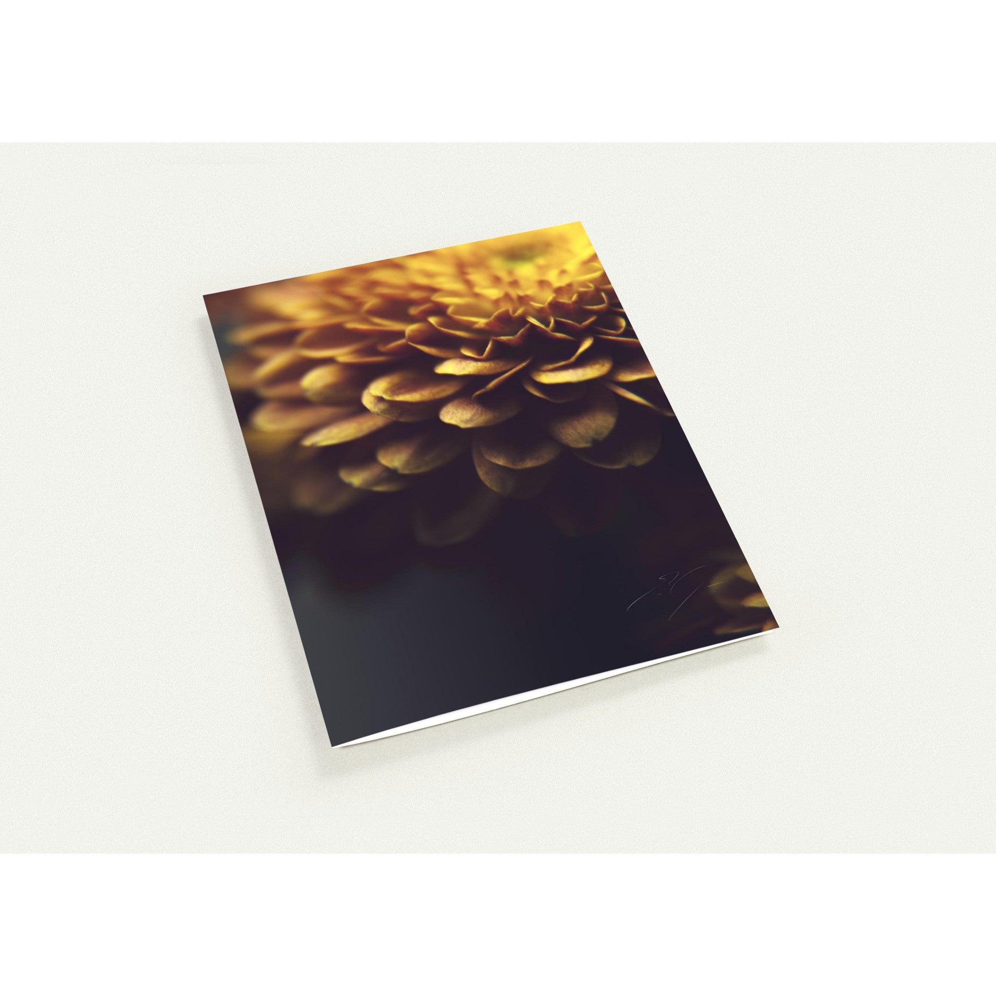 RUSTIC PETALS | Greeting Cards