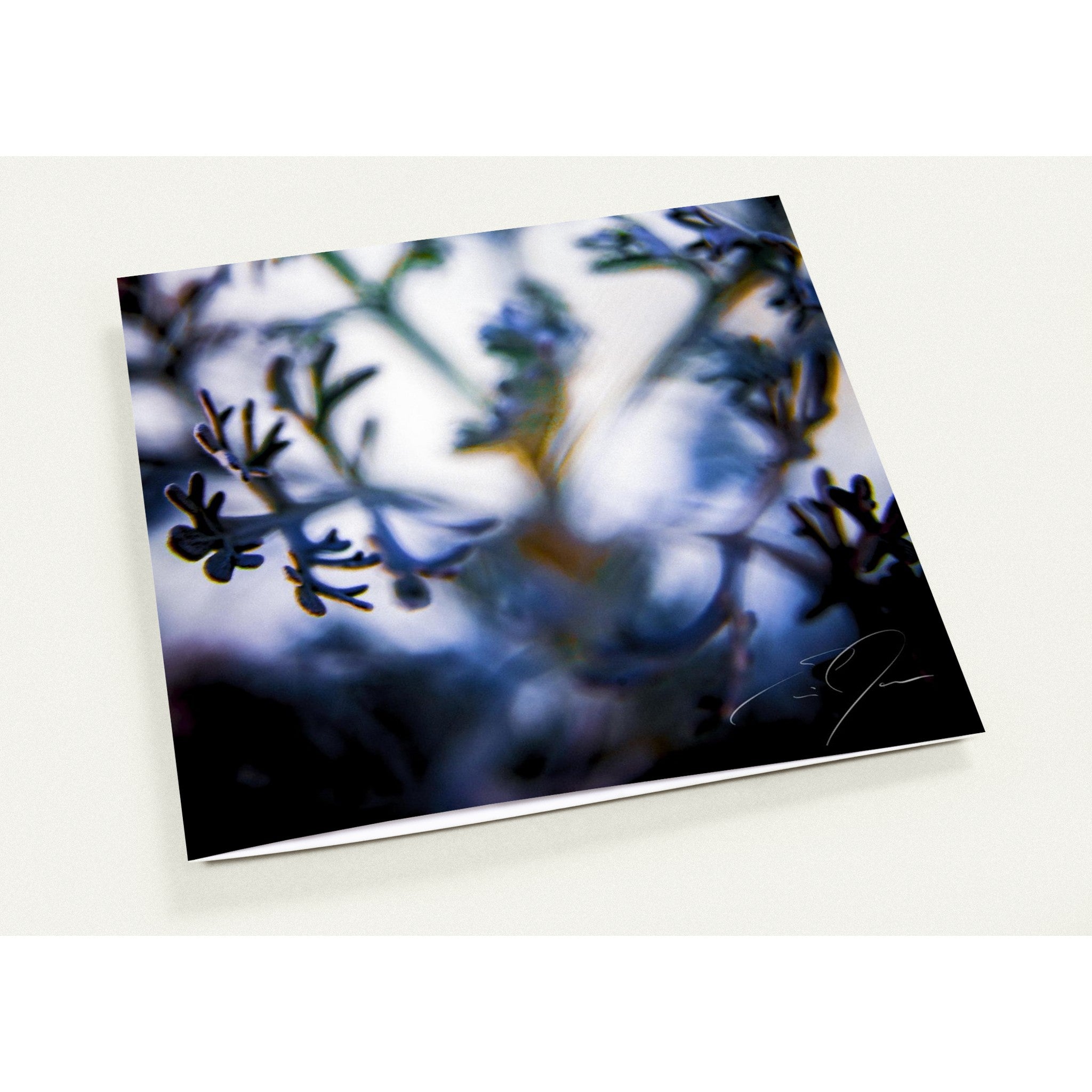 SENTIENCE | Greeting Cards