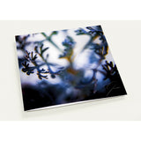 SENTIENCE | Greeting Cards