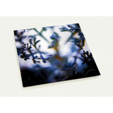 SENTIENCE | Postcards