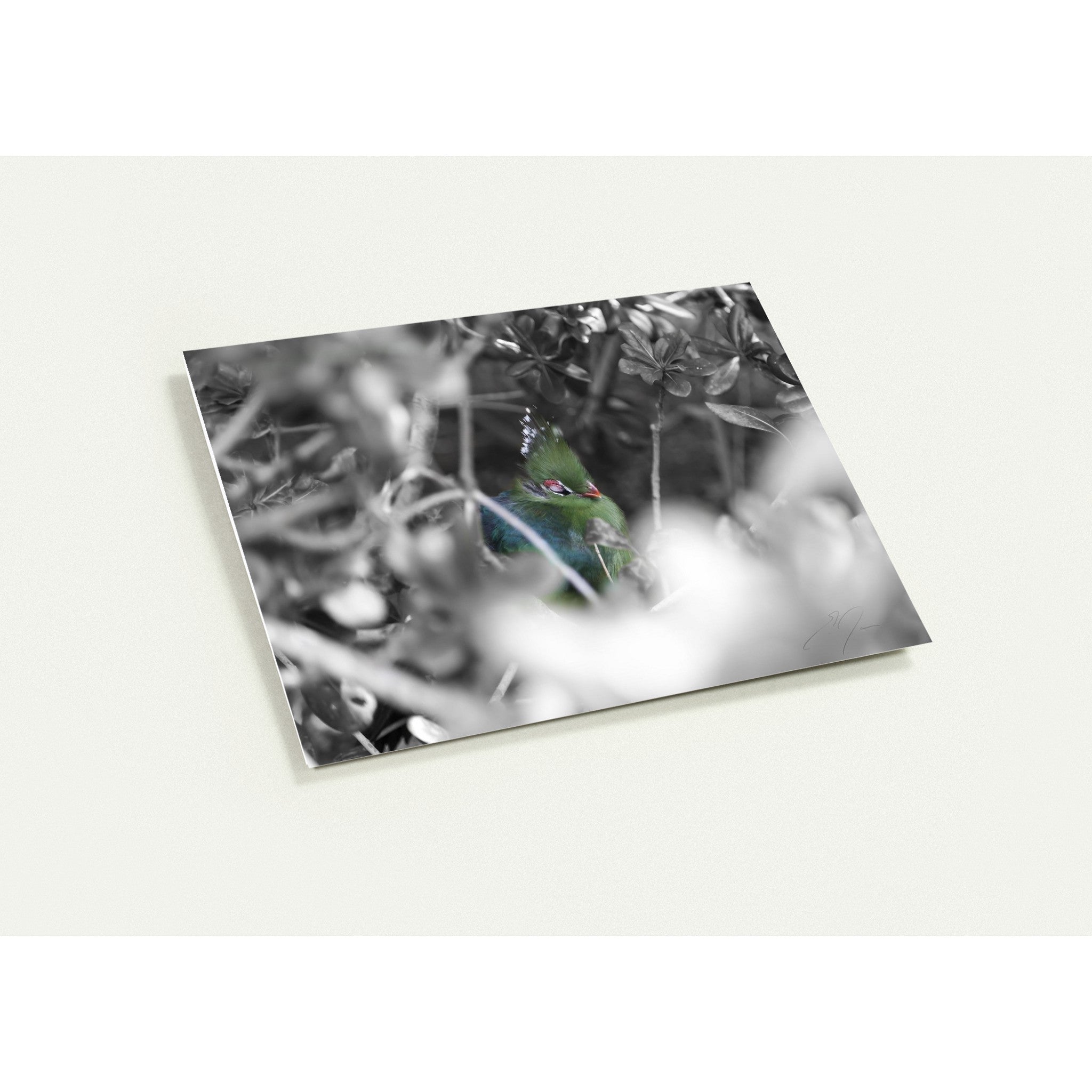 SLEEPING | Greeting Cards