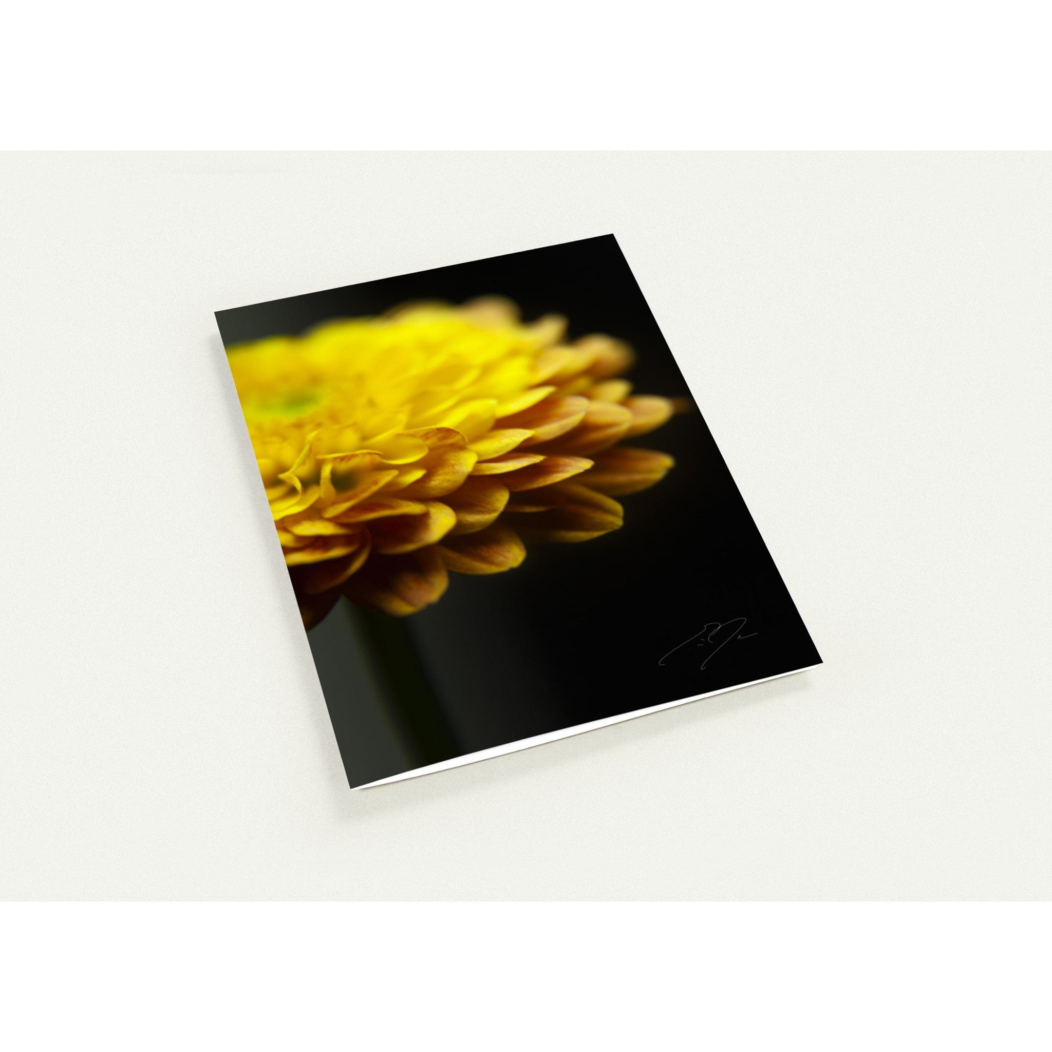 SOLE | Greeting Cards