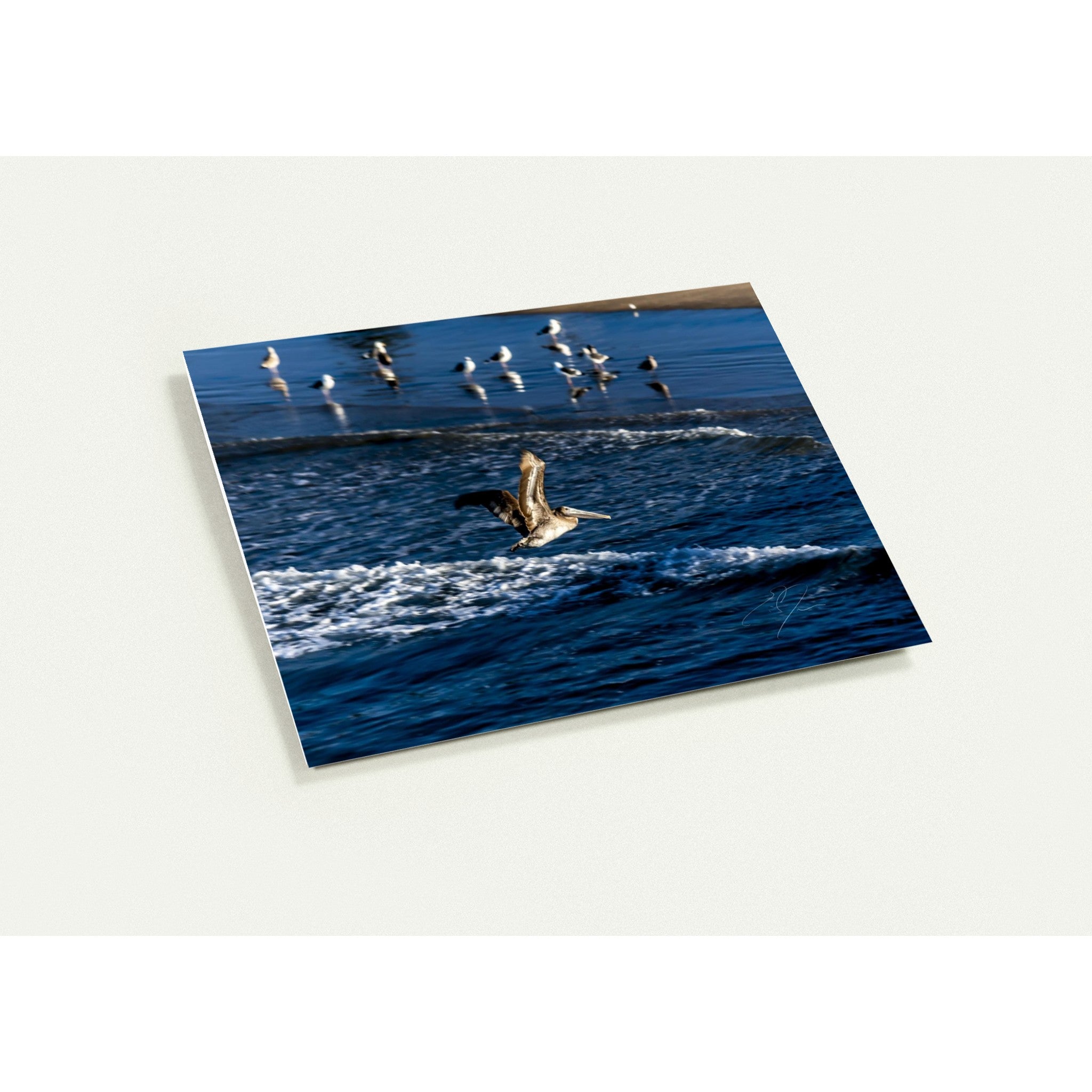 SOLO FLIGHT | Greeting Cards