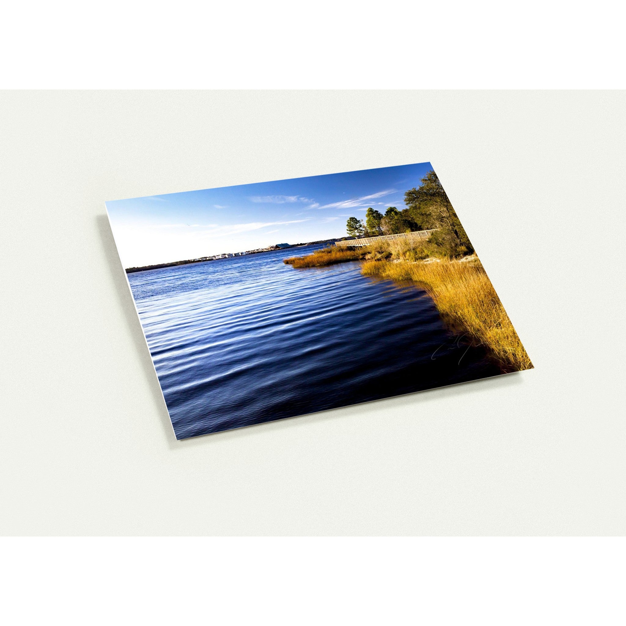ST. JOHN'S RIVER | Greeting Cards