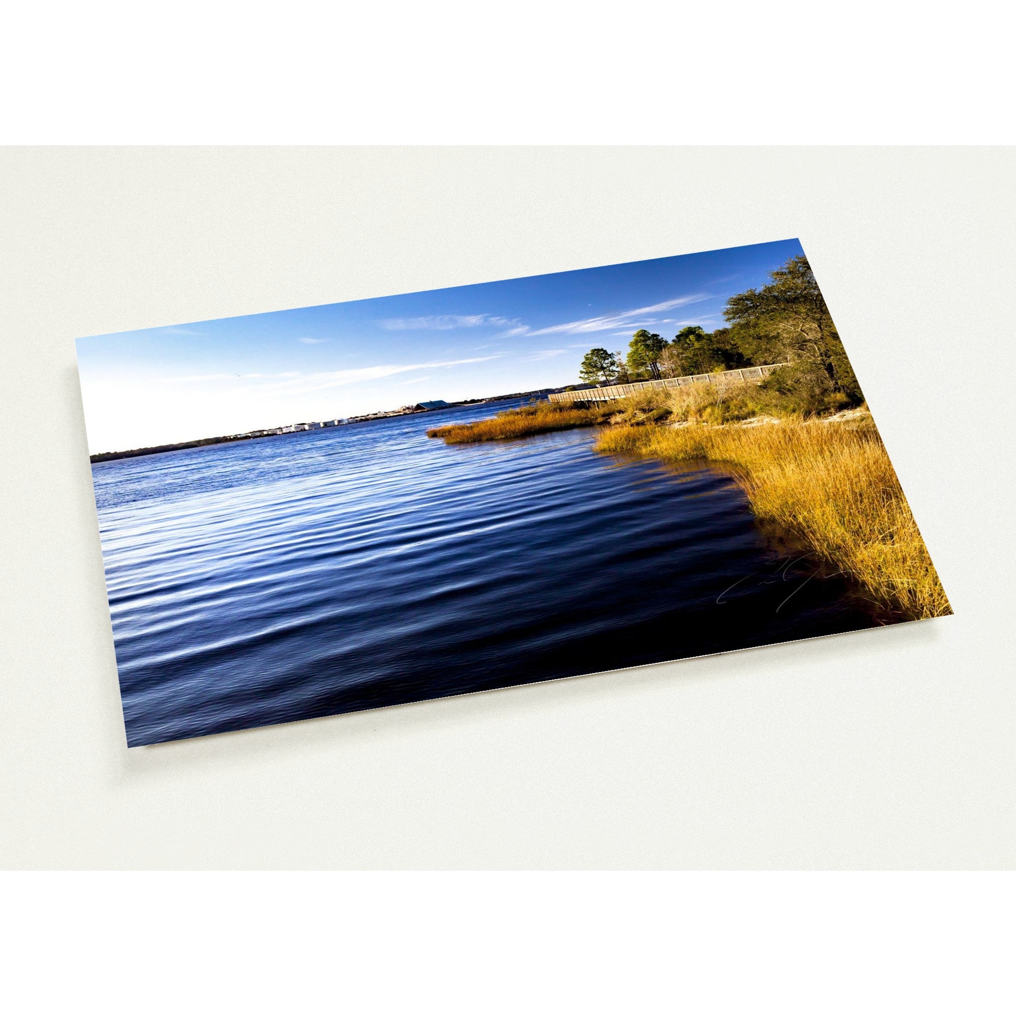 ST. JOHN'S RIVER | Postcards