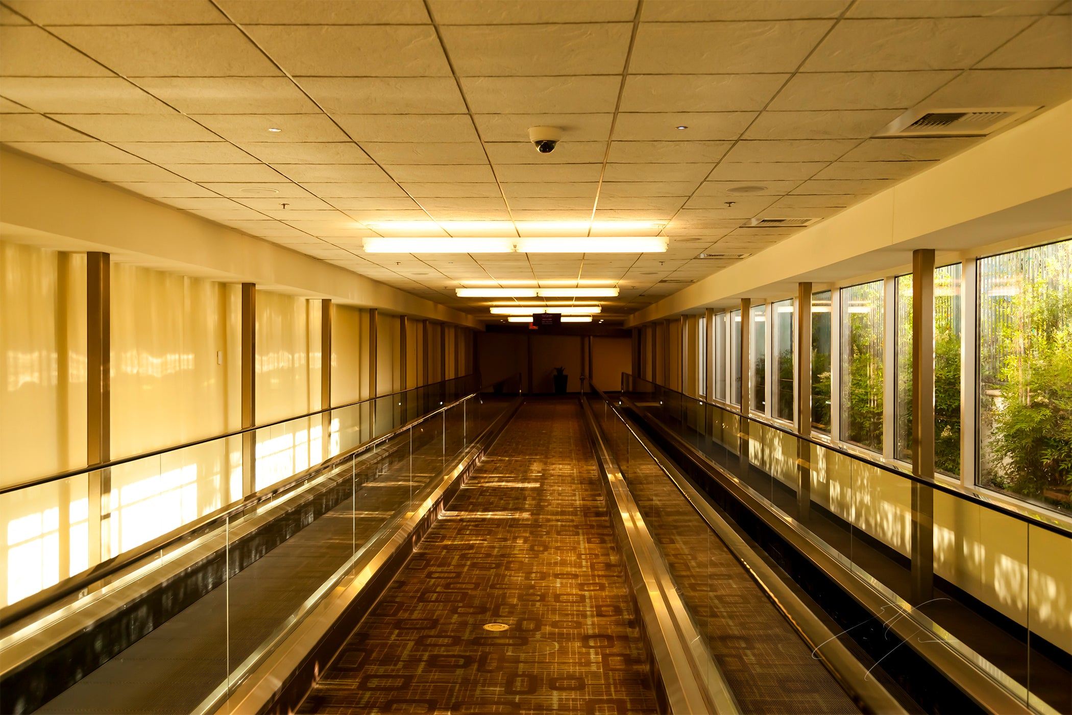 THE LONG HALL (2015)