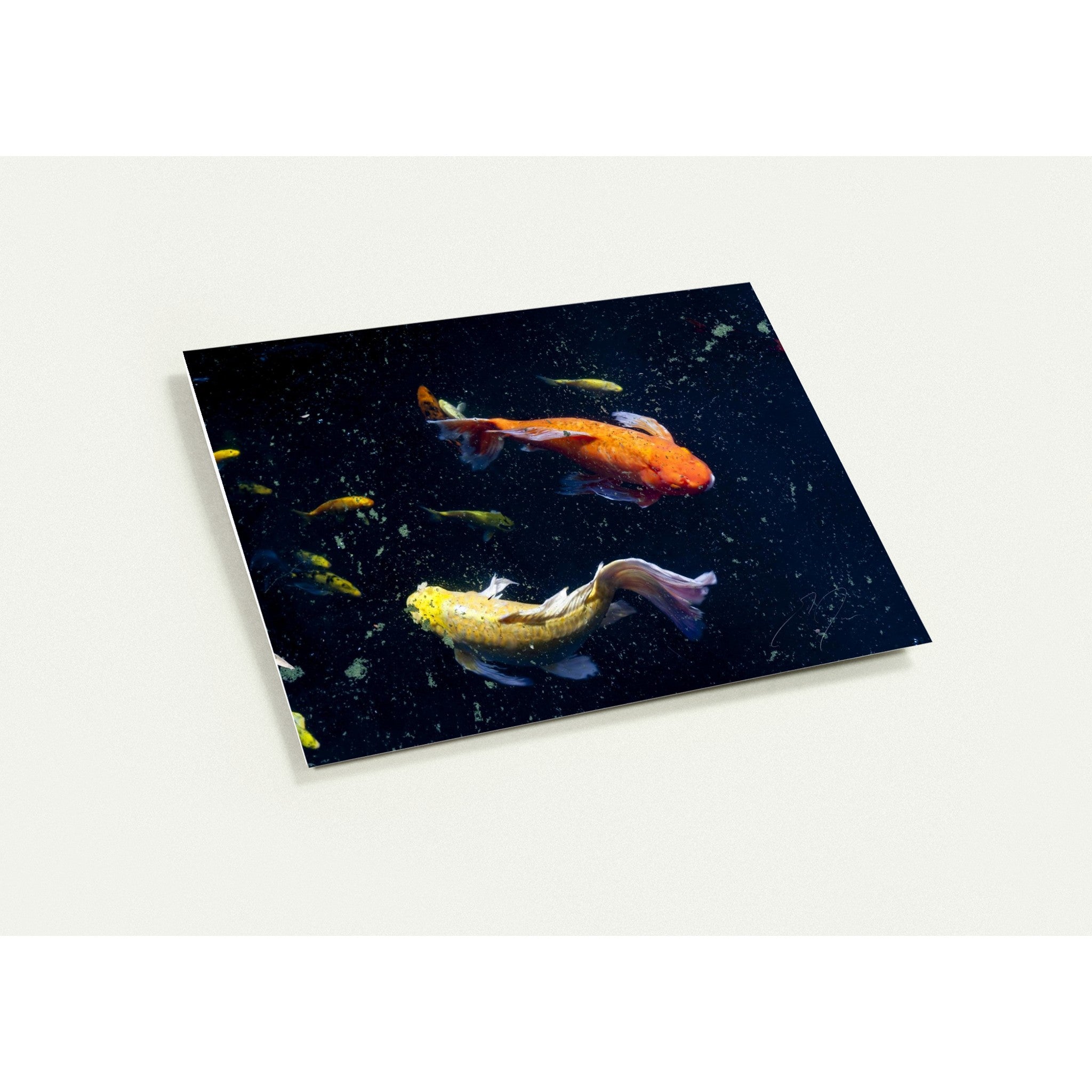 THIS WAY | Greeting Cards