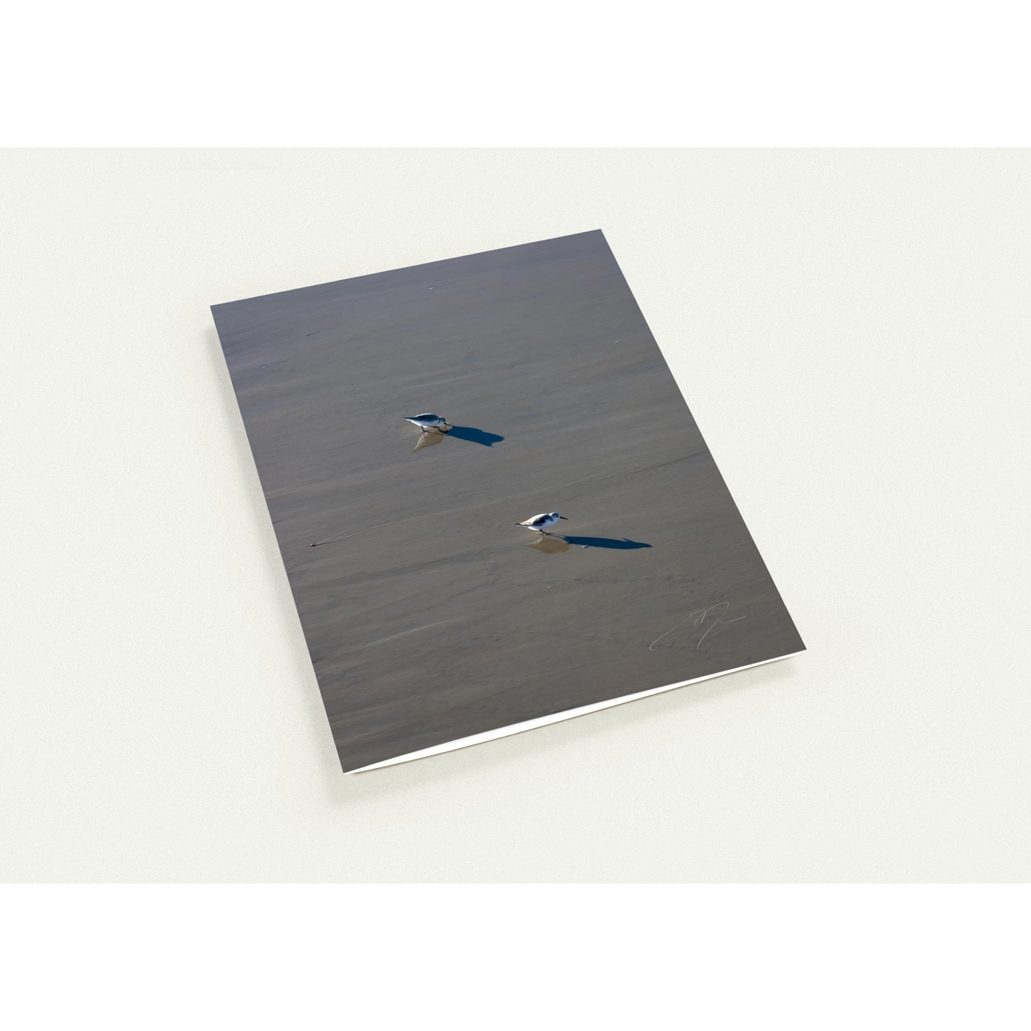 TWO BIRDS | Greeting Cards