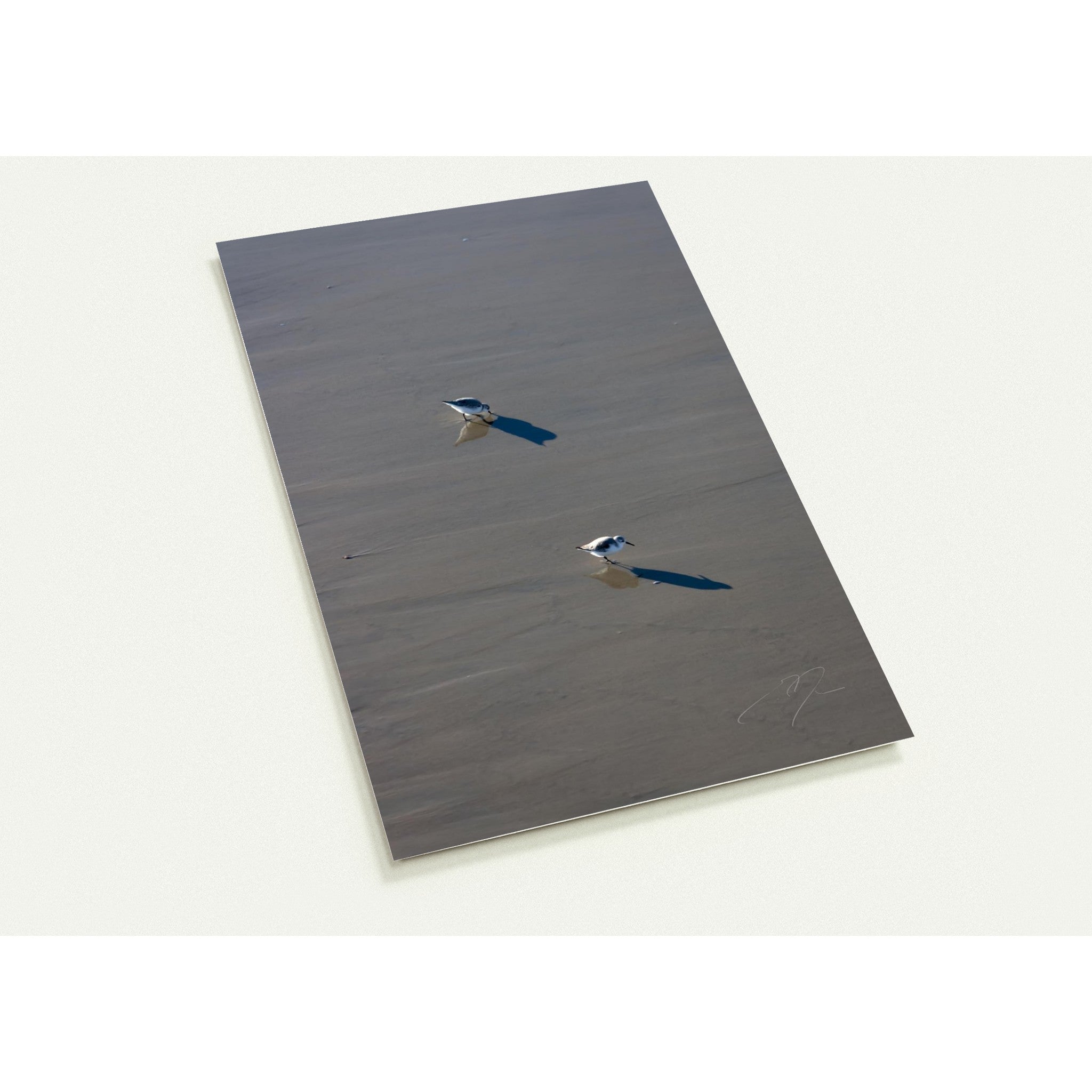 TWO BIRDS | Postcards