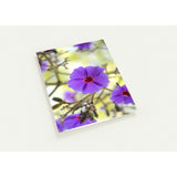 VIOLET PETALS | Greeting Cards