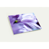 VITALITY | Greeting Cards