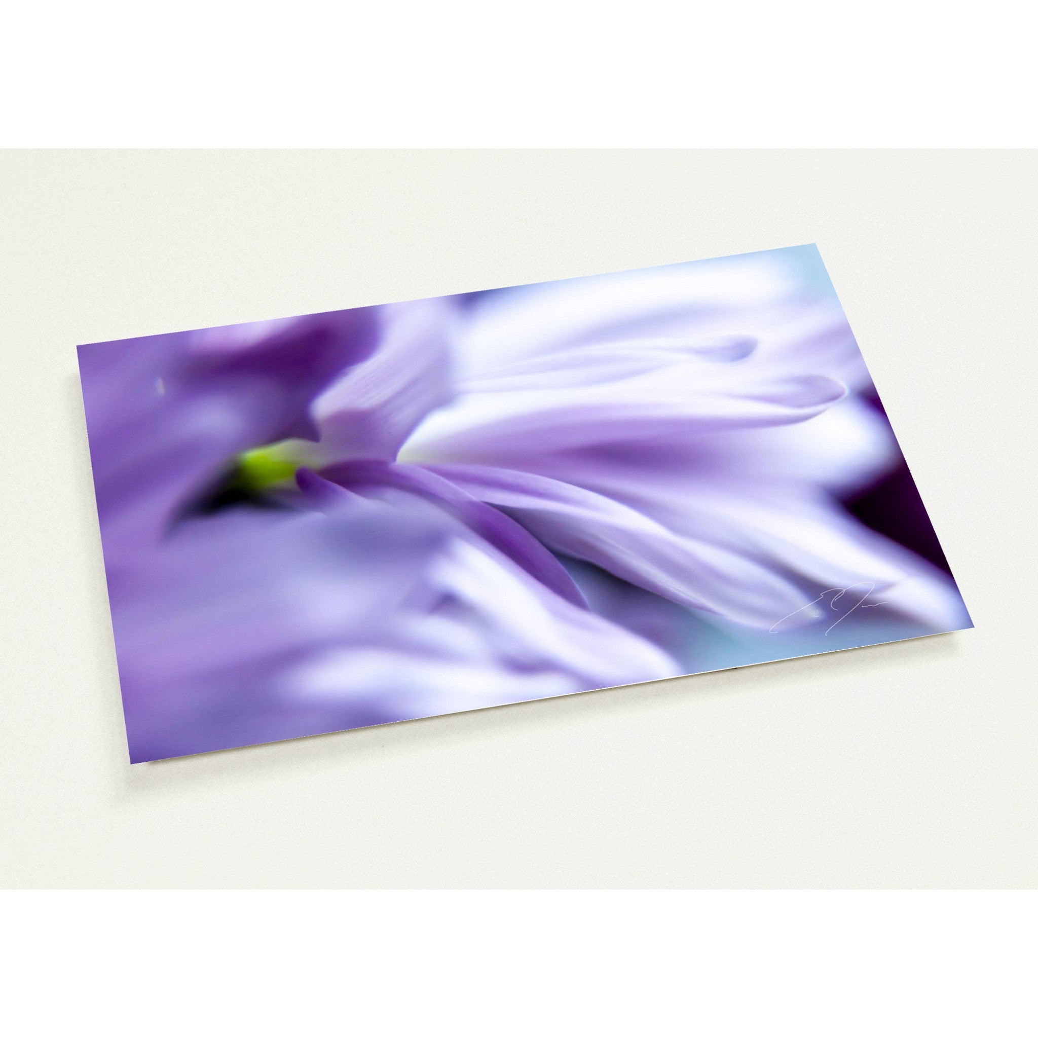 VITALITY | Postcards
