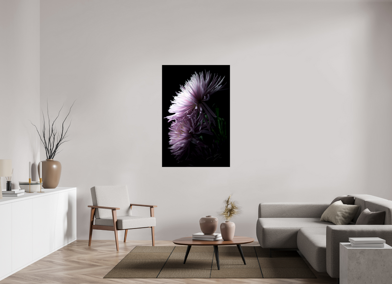 36 x 54″, PHOTO PRINT - FUJIFLEX HIGH GLOSS MUM, No.6