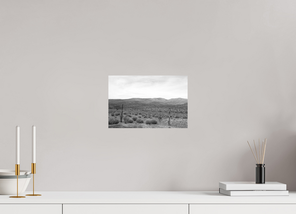 12 x 8″, PHOTO PRINT - FUJIFLEX HIGH GLOSS SOLITUDE
