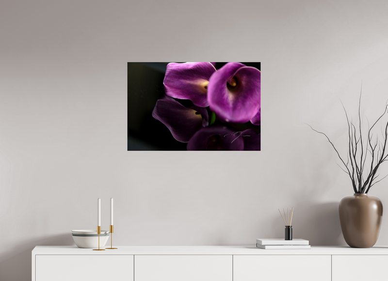 30 x 20″, PHOTO PRINT - FUJIFLEX HIGH GLOSS EMULATE