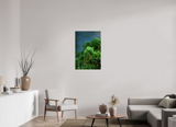 24 x 36″, PHOTO PRINT - FUJIFLEX HIGH GLOSS VERDANT