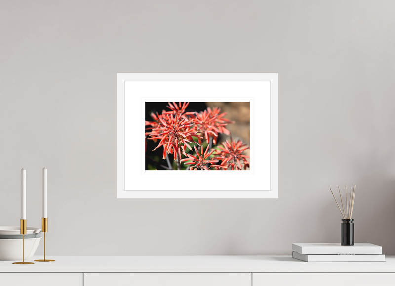 12 x 8″, FRAME - SOLID WOOD [FUJIFLEX] JOYFUL GATHERING