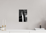 8 x 12″, PHOTO PRINT - FUJIFLEX HIGH GLOSS COMMEMORATE