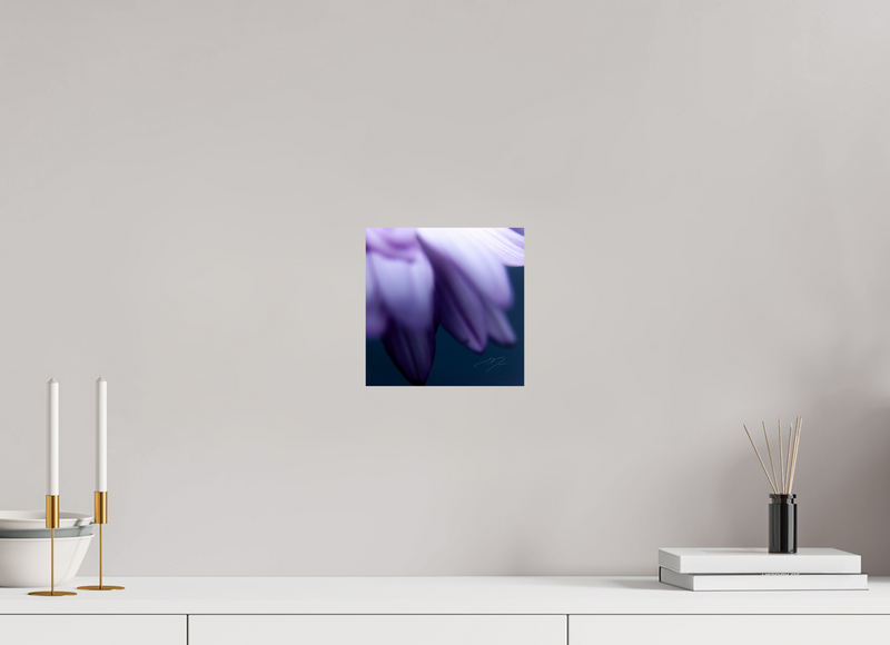 8 x 8″, PHOTO PRINT - FUJIFLEX HIGH GLOSS PETALS' EDGE