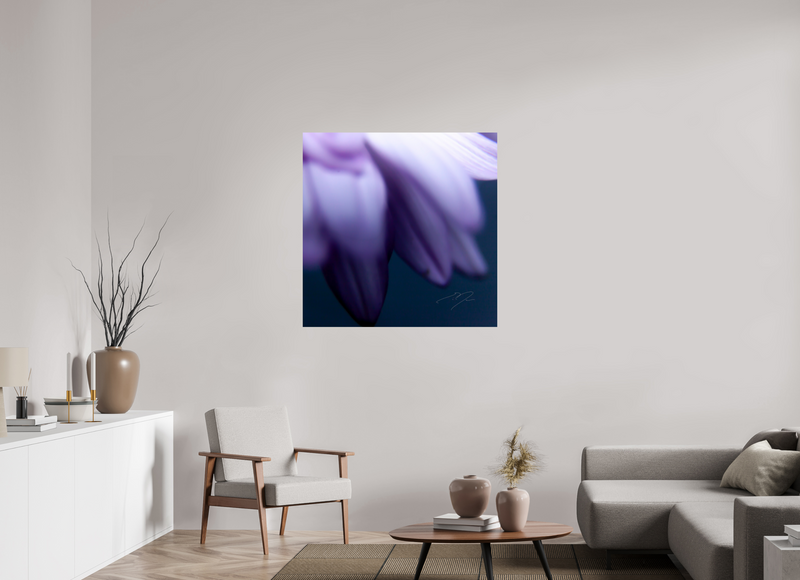 40 x 40″, PHOTO PRINT - FUJIFLEX HIGH GLOSS PETALS' EDGE