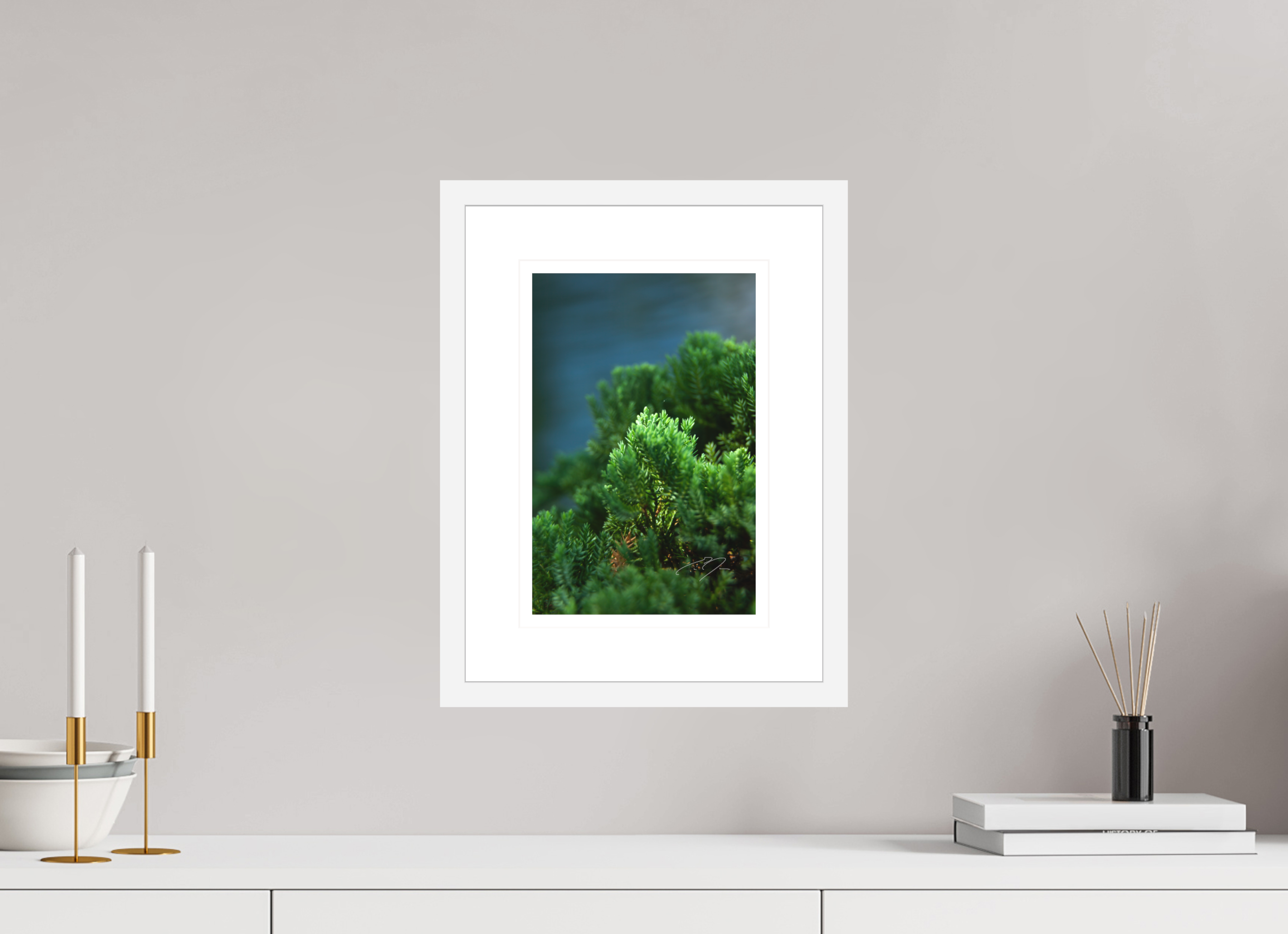 8 x 12″, FRAME - SOLID WOOD [FUJIFLEX] VERDANT
