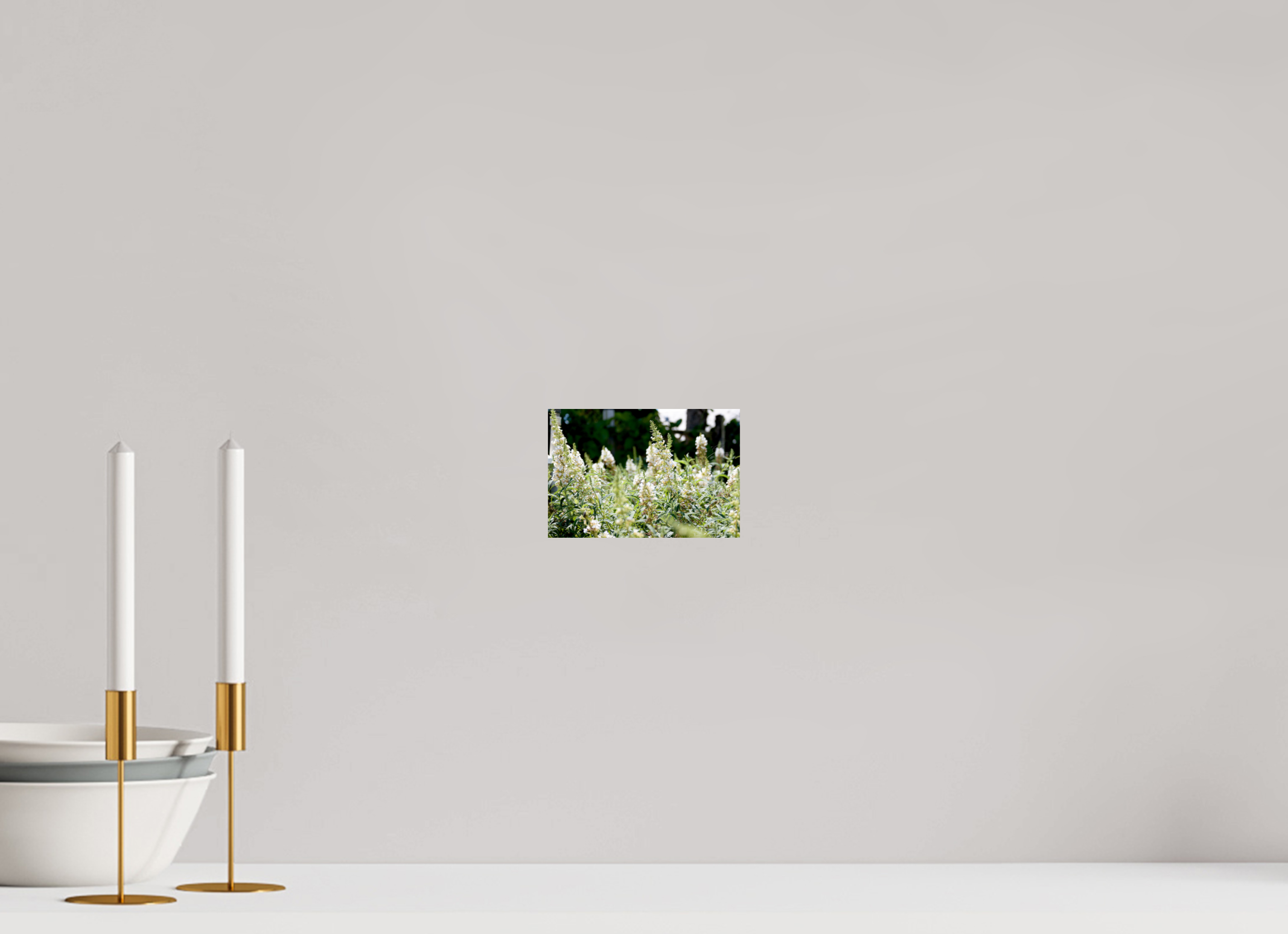 6 x 4″, PHOTO PRINT - FUJI CRYSTAL DP II IN THE FIELD