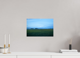 15 x 10″, PHOTO PRINT - FUJIFLEX HIGH GLOSS GREEN PASTURE