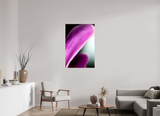 30 x 45″, PHOTO PRINT - FUJIFLEX HIGH GLOSS EPHEMERAL