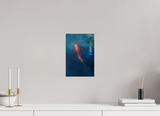 8 x 12″, PHOTO PRINT - FUJIFLEX HIGH GLOSS KOI