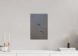 10 x 15″, PHOTO PRINT - FUJIFLEX HIGH GLOSS TWO BIRDS