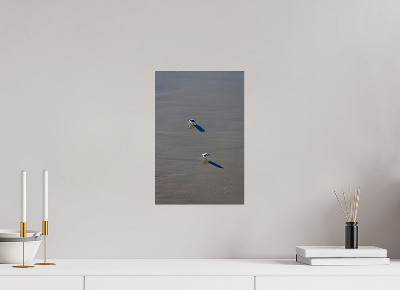 10 x 15″, PHOTO PRINT - FUJIFLEX HIGH GLOSS TWO BIRDS