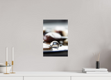10 x 15″, PHOTO PRINT - FUJIFLEX HIGH GLOSS NEBULOUS