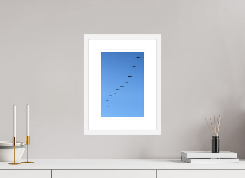 8 x 12″, FRAME - SOLID WOOD [FUJIFLEX] IN RHYTHM