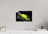 15 x 10″, PHOTO PRINT - FUJIFLEX HIGH GLOSS YELLOW, No.6