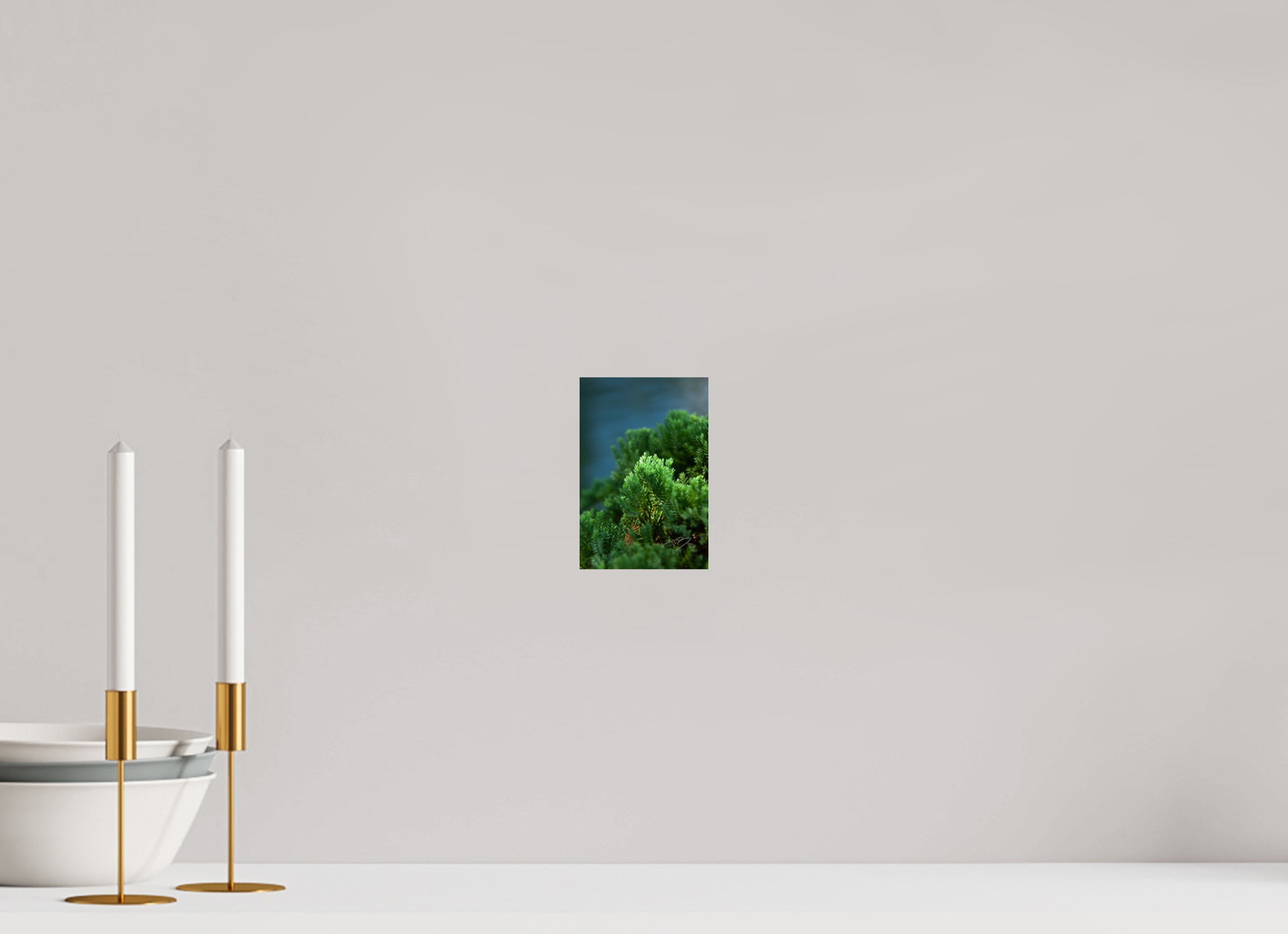 4 x 6″, PRINT ONLY [FUJI CRYSTAL DP II] VERDANT