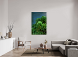 40 x 60″, PHOTO PRINT - FUJIFLEX HIGH GLOSS VERDANT