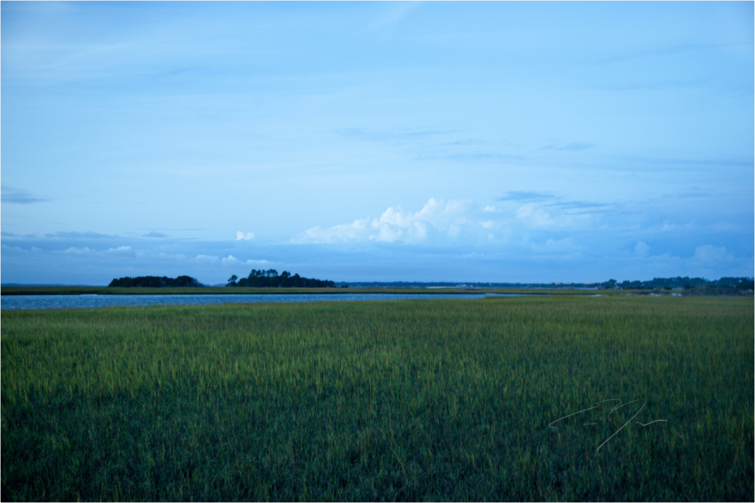 Main image GREEN PASTURE