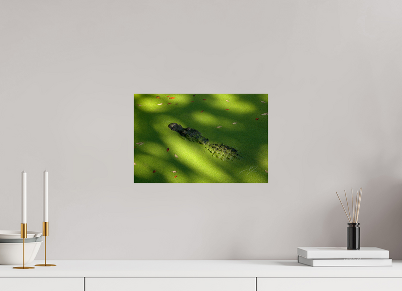 15 x 10″, PHOTO PRINT - FUJIFLEX HIGH GLOSS LOOM