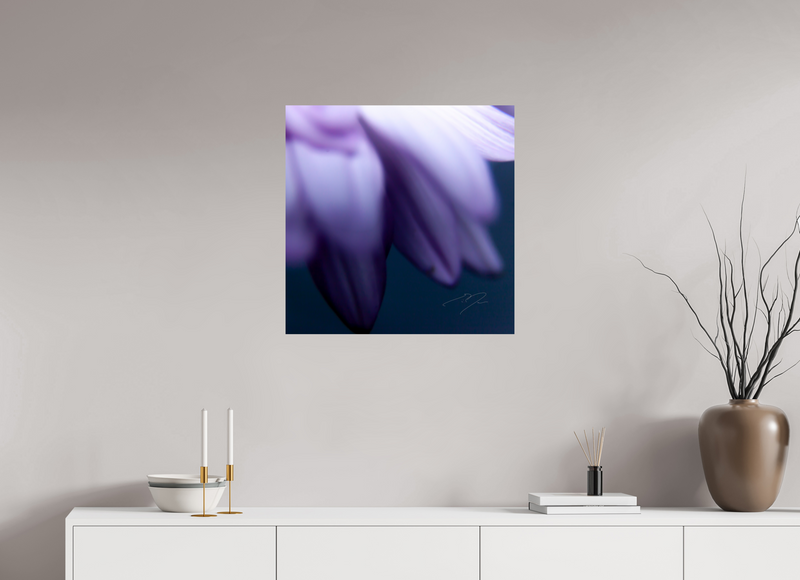 25 x 25″, PHOTO PRINT - FUJIFLEX HIGH GLOSS PETALS' EDGE