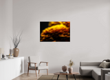 45 x 30″, PHOTO PRINT - FUJIFLEX HIGH GLOSS INCANDESCENCE