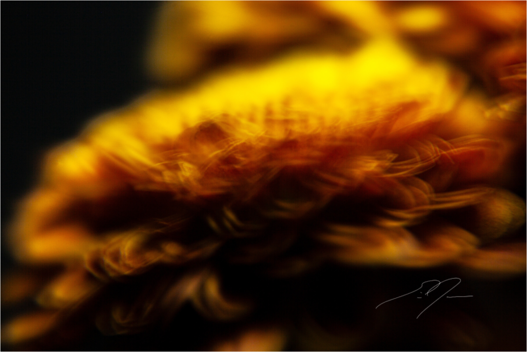 Main image INCANDESCENCE