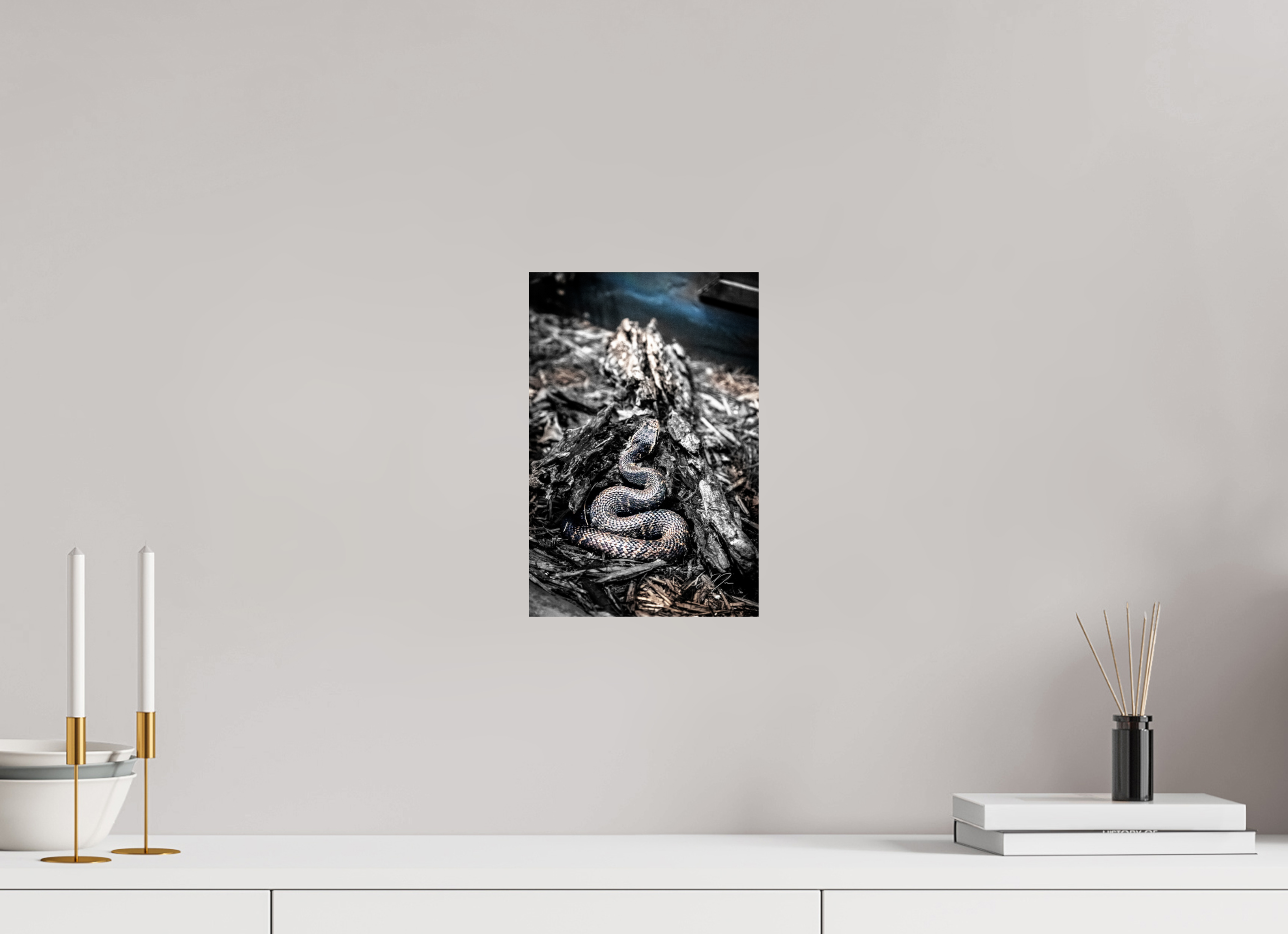 8 x 12″, PRINT ONLY [FUJI CRYSTAL DP II] COILED
