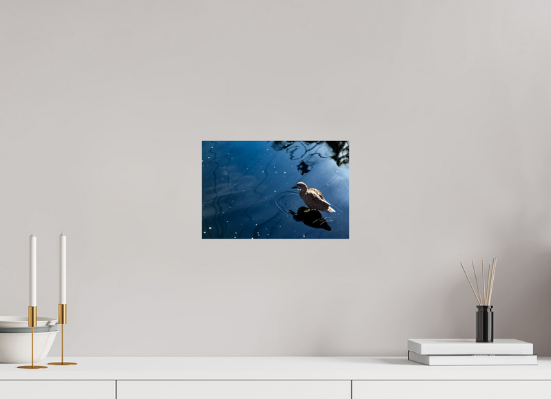 12 x 8″, PHOTO PRINT - FUJIFLEX HIGH GLOSS SIMPLE BEAUTY