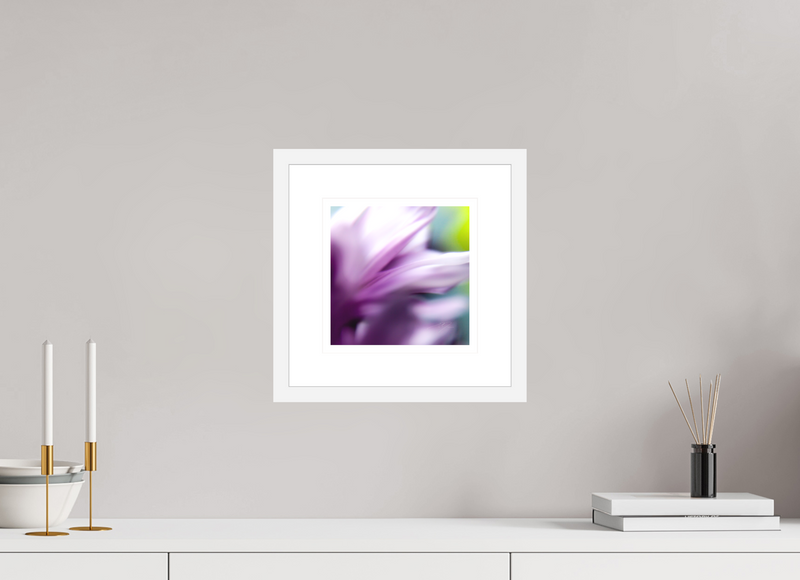 8 x 8″, FRAME - SOLID WOOD [FUJIFLEX] FLEETING