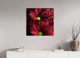 30 x 30″, PHOTO PRINT - FUJIFLEX HIGH GLOSS INDIVIDUALITY