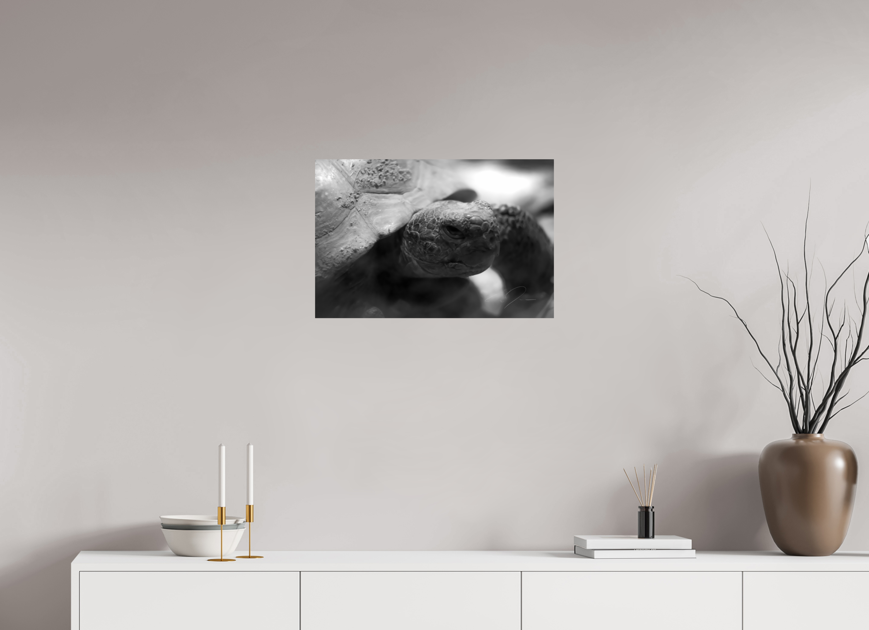 24 x 16″, PRINT ONLY [FUJI CRYSTAL DP II] TORTOISE