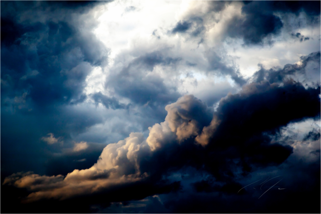 Main image FINDING BEAUTY IN THE STORM